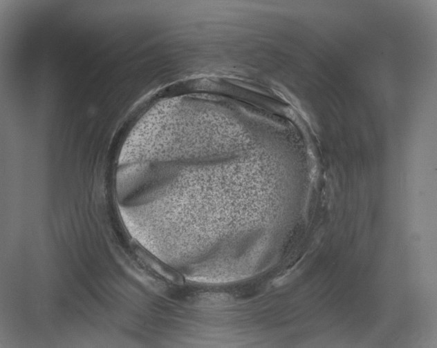 X0000082760203200702162034