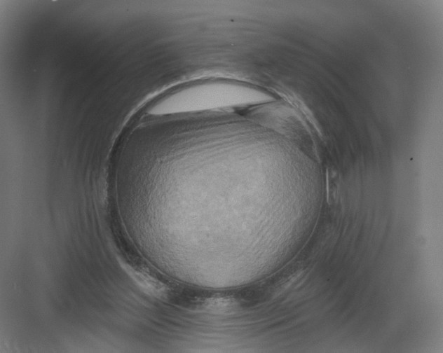 X0000082760204200702162034