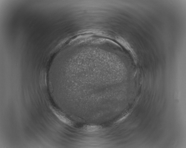 X0000082760205200702162034