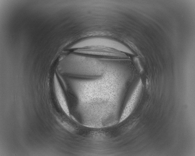 X0000082760207200702162034