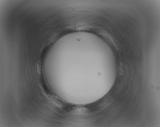 X0000082760210200702162034