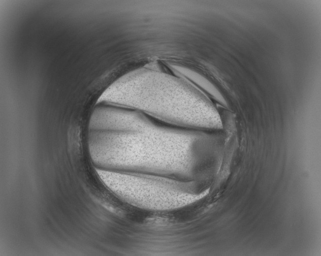 X0000082760211200702162034