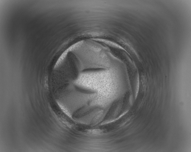 X0000082760212200702162034