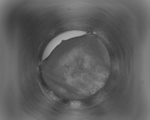 X0000082760214200702162034