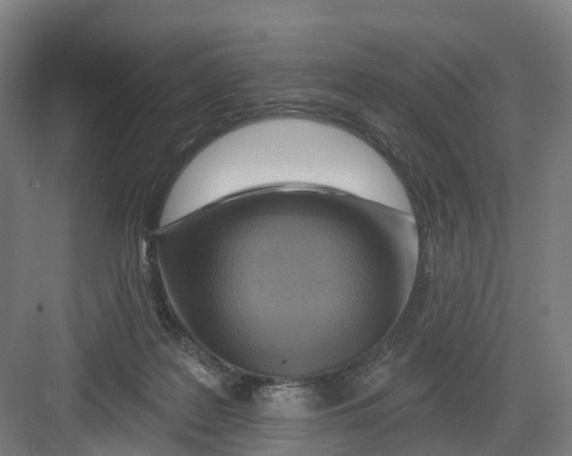 X0000082760219200702162034