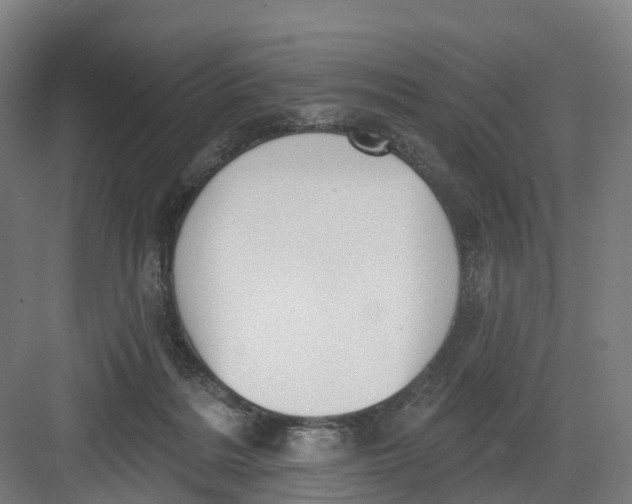 X0000082760220200702162034