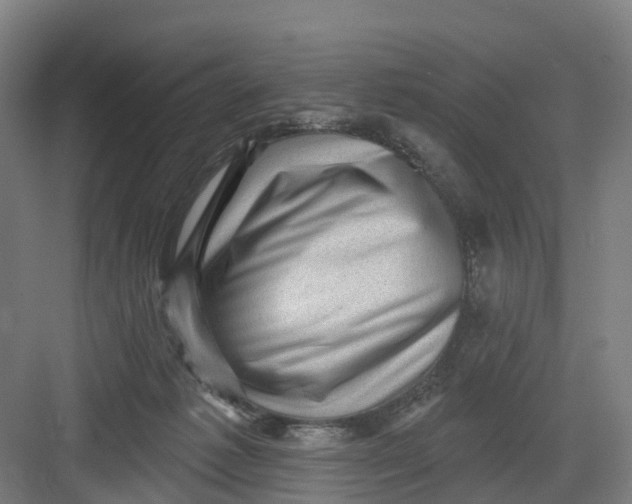 X0000082760221200702162033