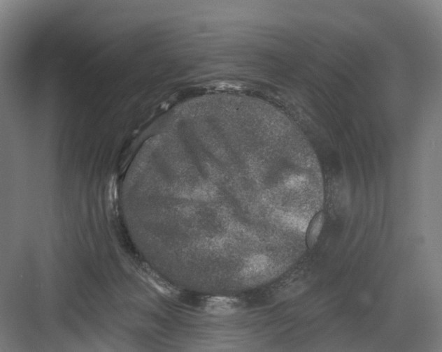 X0000082760222200702162033