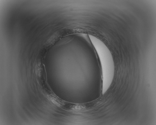 X0000082760223200702162033