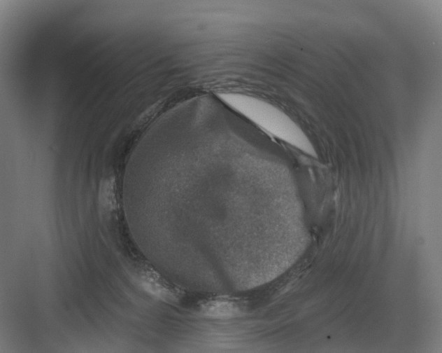 X0000082760224200702162033