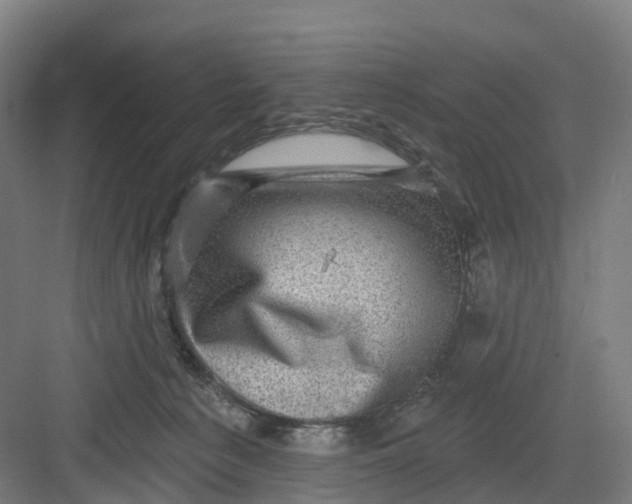 X0000082760225200702162033