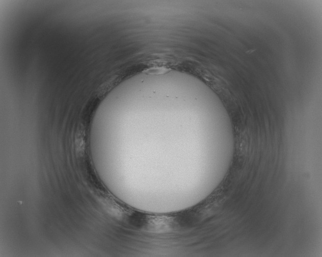 X0000082760226200702162033