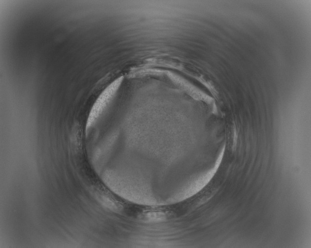 X0000082760228200702162033