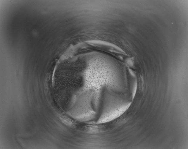 X0000082760229200702162033