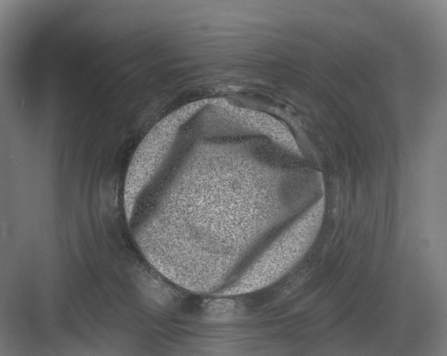 X0000082760230200702162033