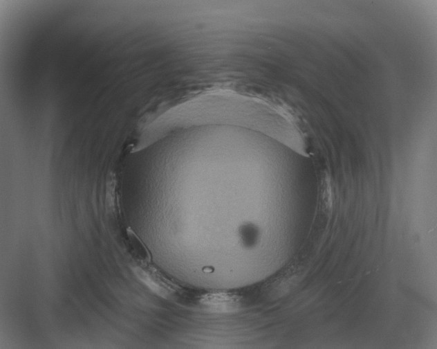 X0000082760231200702162033