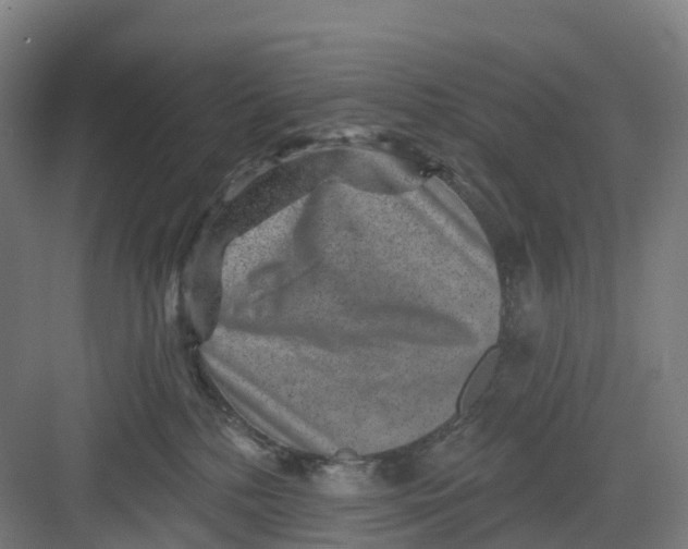 X0000082760232200702162033