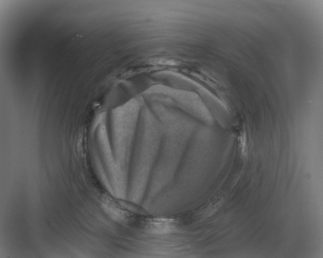 X0000082760233200702162033