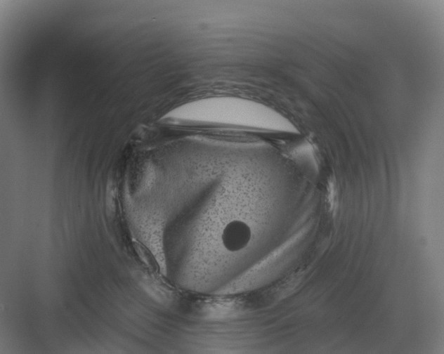 X0000082760235200702162033