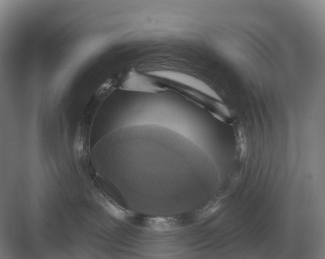 X0000082760239200702162033