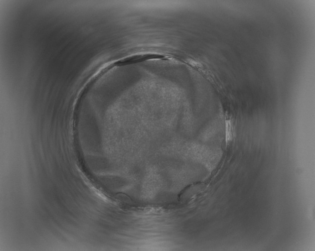 X0000082760243200702162032