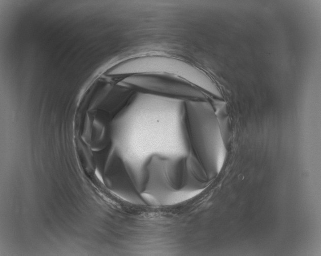 X0000082760244200702162032