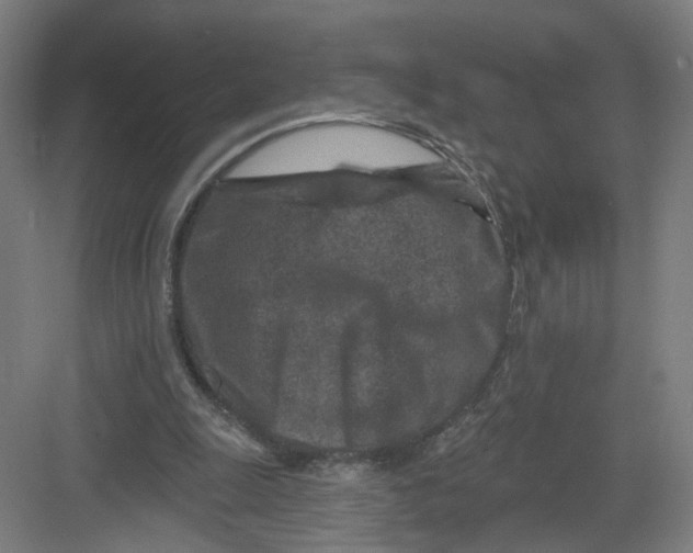 X0000082760247200702162032