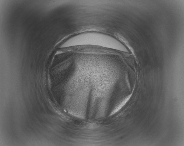 X0000082760249200702162033