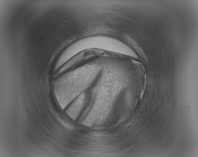 X0000082760250200702162033