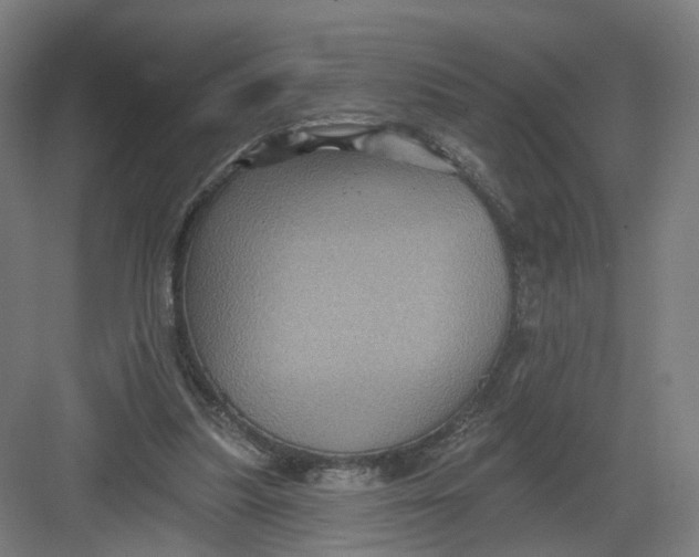 X0000082760251200702162033