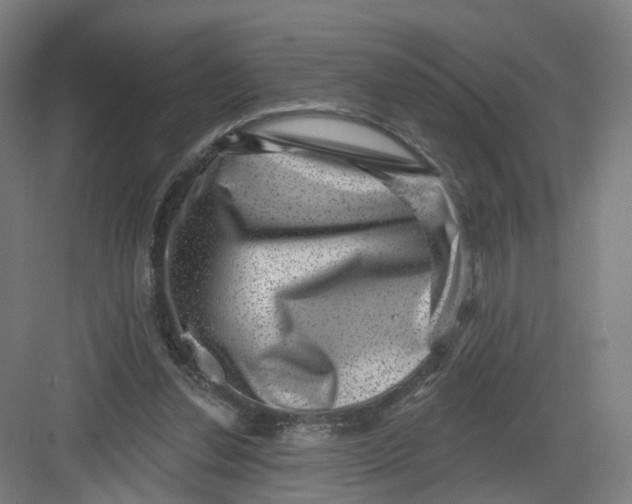 X0000082760252200702162033