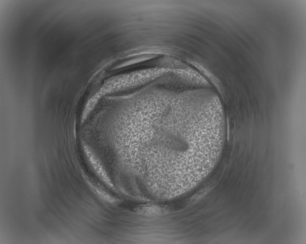 X0000082760253200702162033