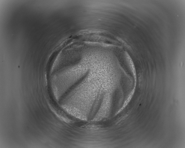 X0000082760254200702162033