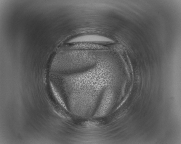 X0000082760255200702162033