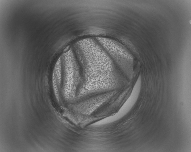 X0000082760256200702162033