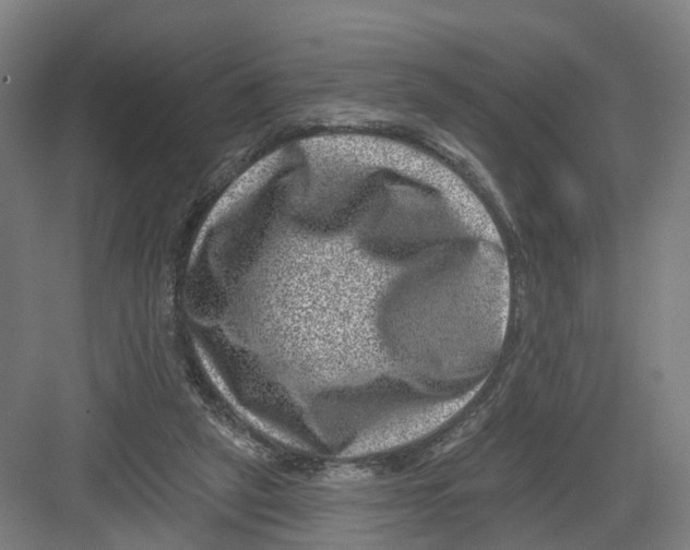 X0000082760257200702162033