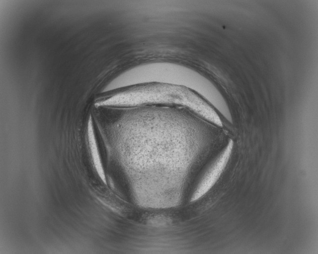 X0000082760258200702162033