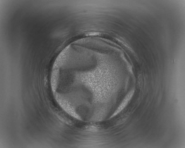 X0000082760259200702162033