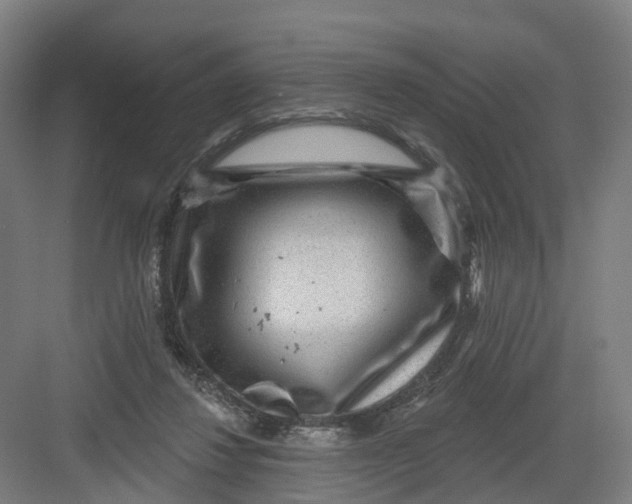 X0000082760260200702162033