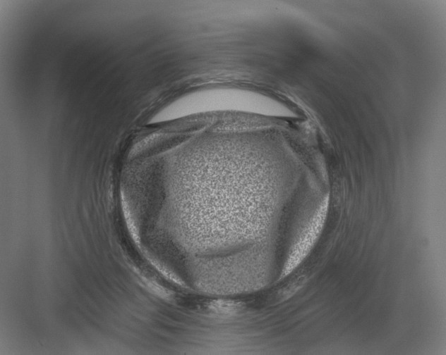 X0000082760261200702162033