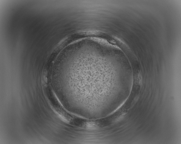 X0000082760264200702162033