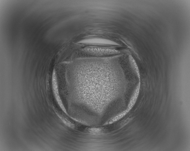 X0000082760265200702162033