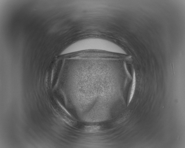 X0000082760266200702162033