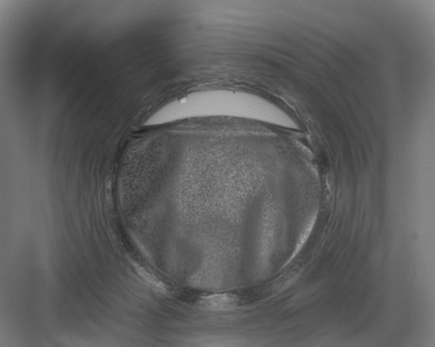 X0000082760269200702162033