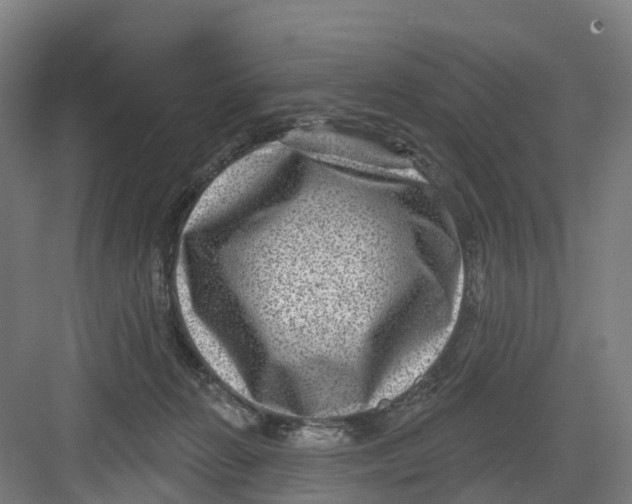 X0000082760270200702162033