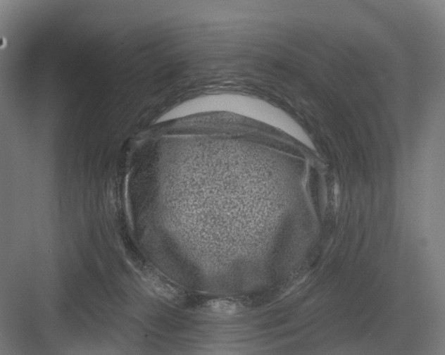 X0000082760272200702162033