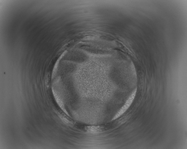 X0000082760273200702162033