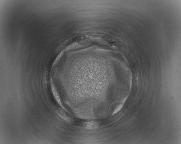 X0000082760275200702162033