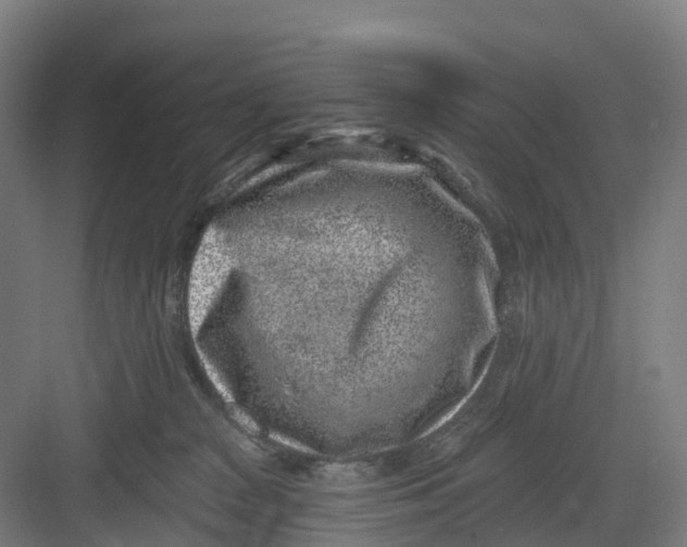 X0000082760277200702162033