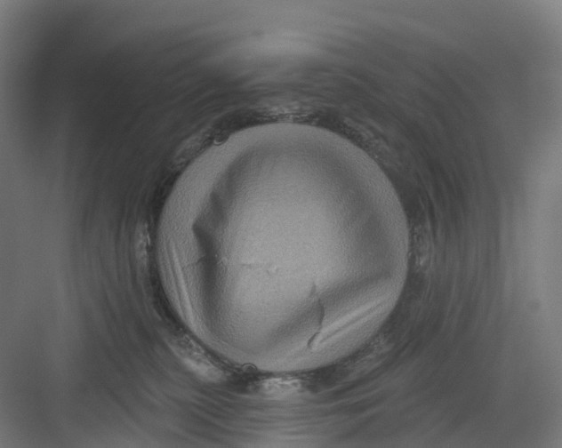 X0000082760279200702162033